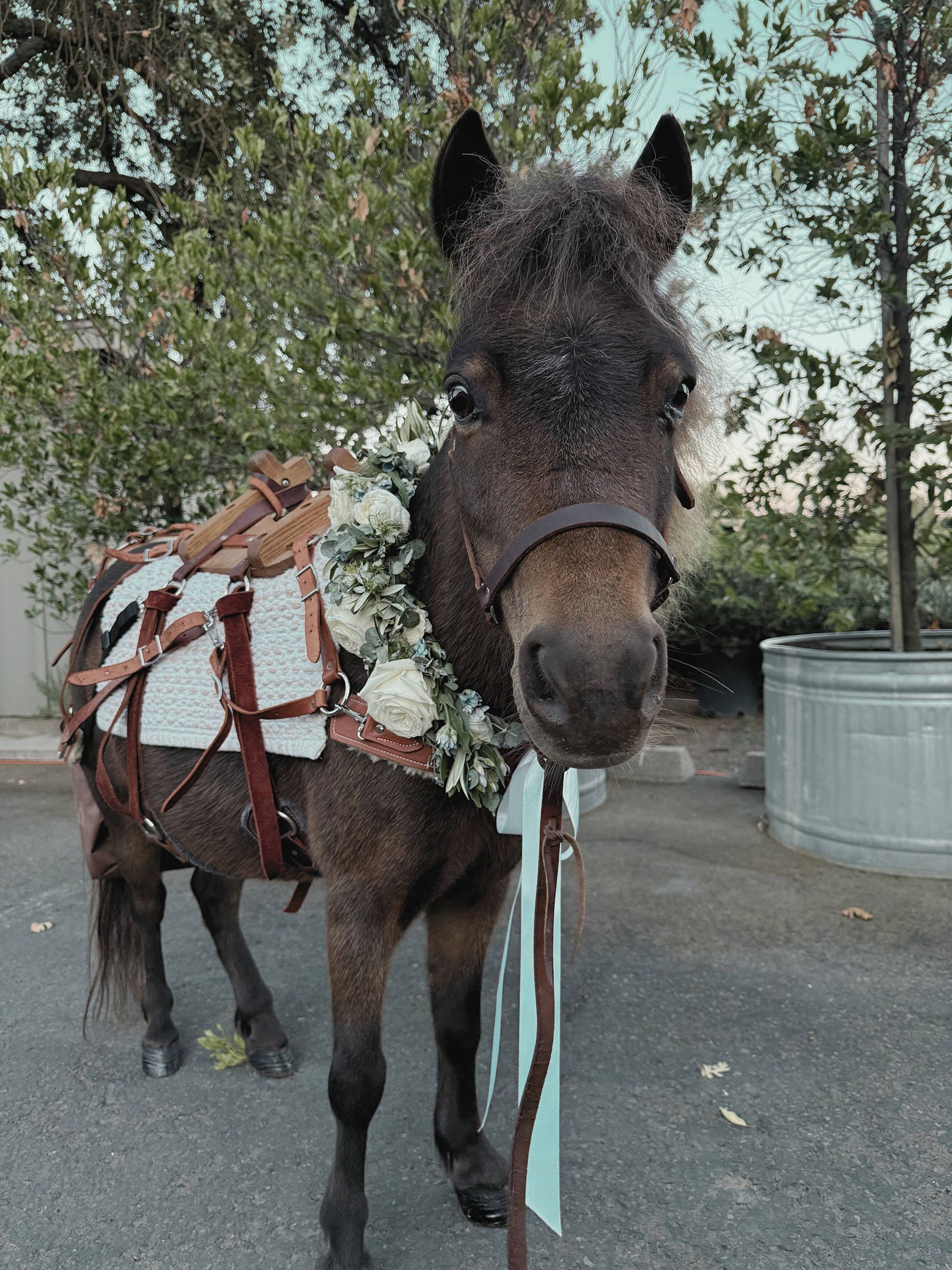Burro Beverage Co. gallery photo