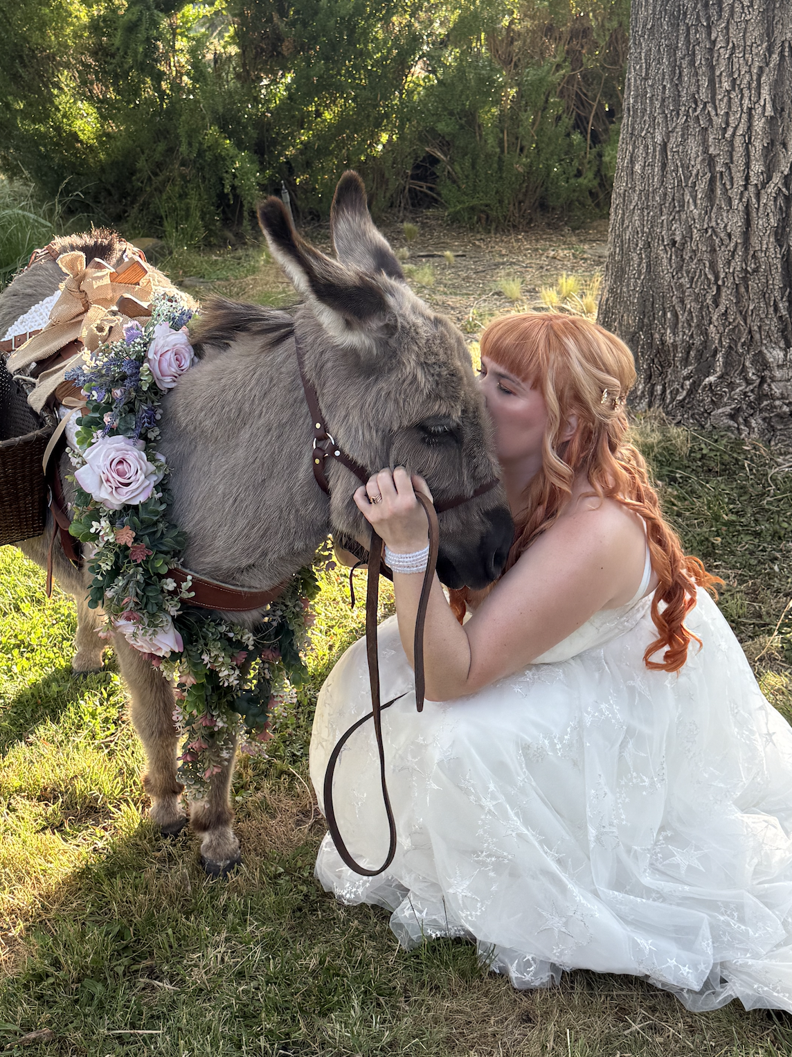 Burro Beverage Co. gallery photo